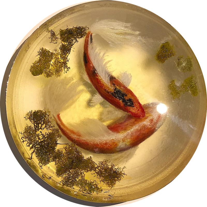 Circular mixed-media bowl with koi fish and moss by Stephy Hsu